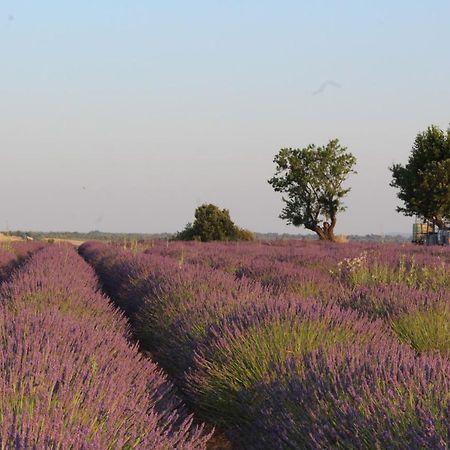 Le Mas Du Colombier Cadenet Dış mekan fotoğraf