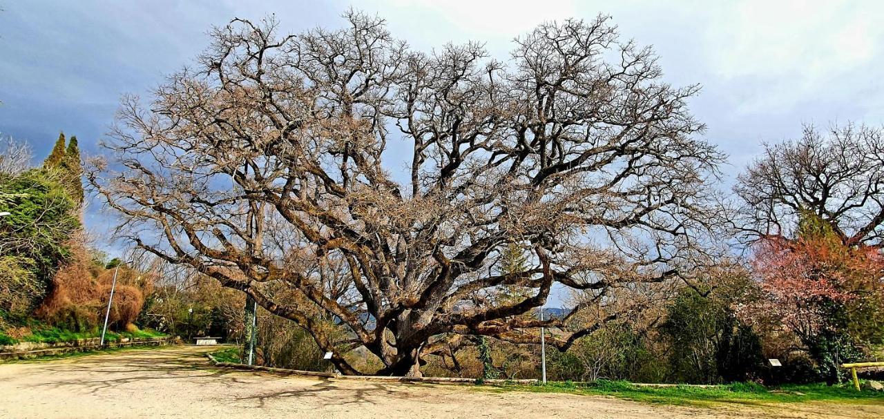 Le Mas Du Colombier Cadenet Dış mekan fotoğraf