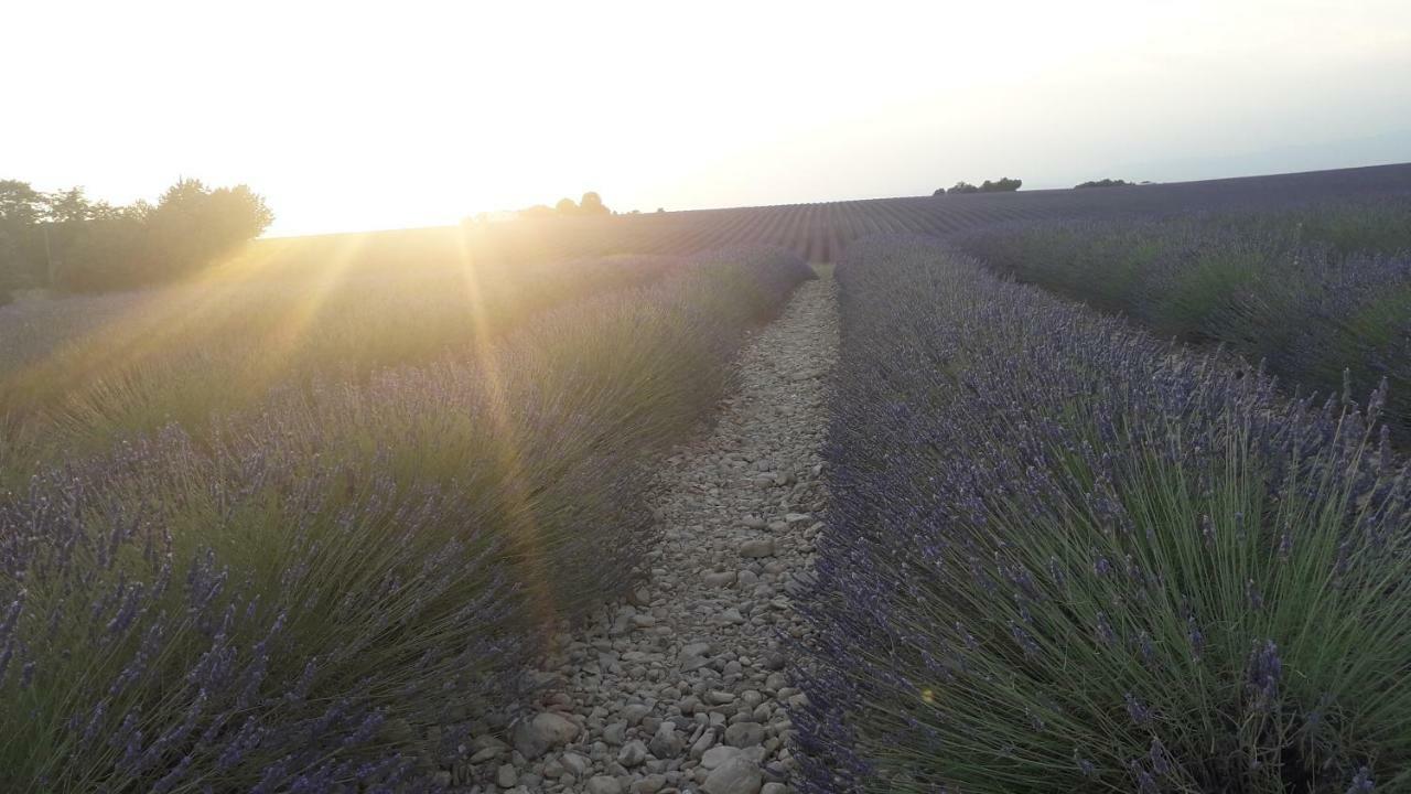 Le Mas Du Colombier Cadenet Dış mekan fotoğraf